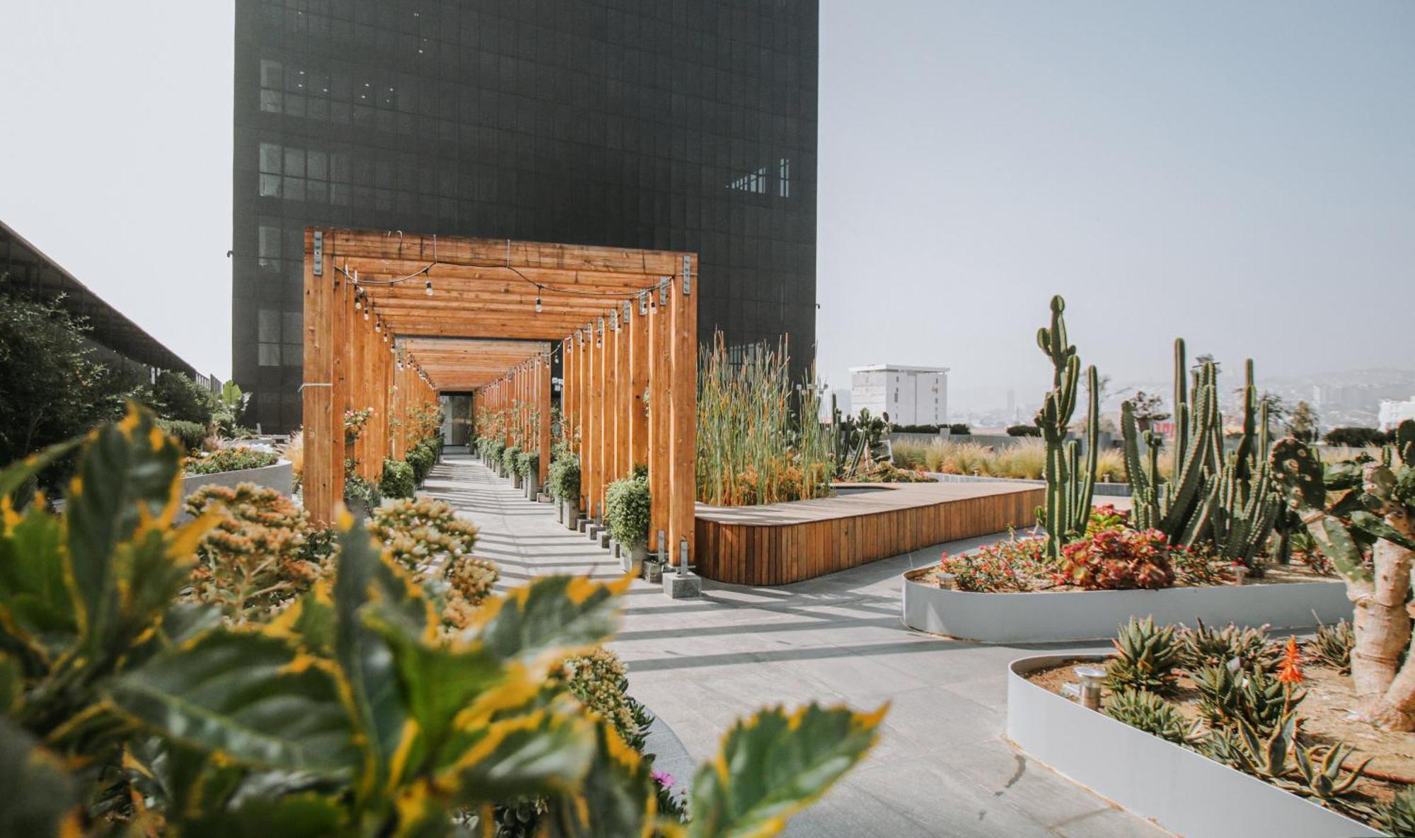 Quartz Hotel & Spa Тихуана Экстерьер фото